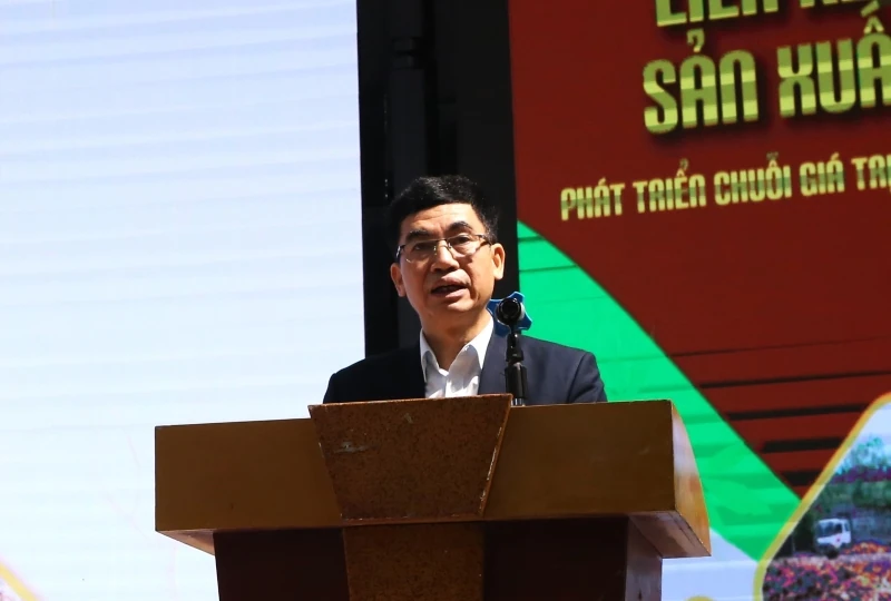 Hội thảo “Giải pháp nâng cao hiệu quả chuỗi giá trị sản xuất sắn bền vững”