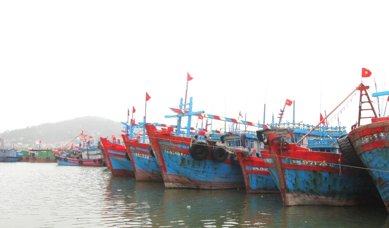 Tập trung thực hiện các nhiệm vụ, giải pháp cấp bách, trọng tâm chống khai thác IUU