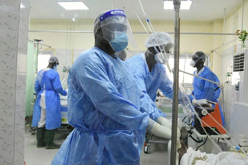 Bùng phát bệnh sốt thung lũng Rift ở người Mauritania và Senegal
