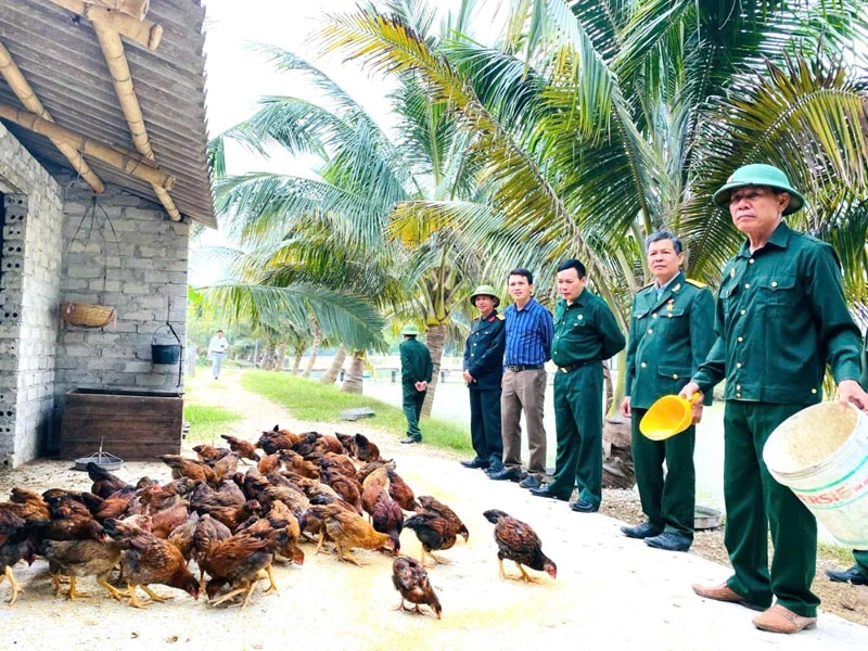 Tỏa sáng trên mặt trận mới