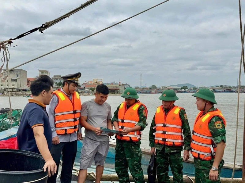 Quyết tâm cao nhất để “gỡ thẻ vàng IUU” (Bài cuối): Từ cam kết IUU đến phát triển ngành thủy sản bền vững