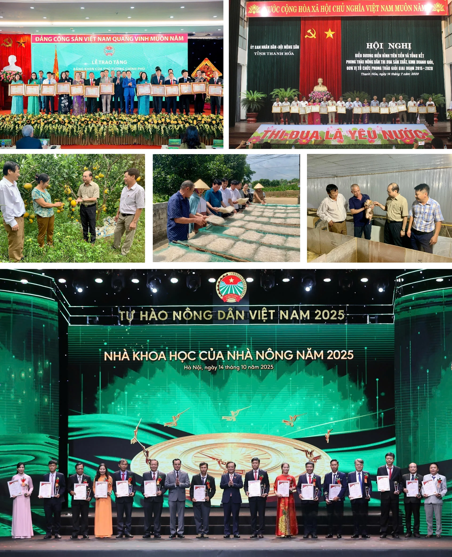 [E - Magazine] Phong trào Nông dân SXKD giỏi - sức lan tỏa bền vững của nông dân Thanh Hóa