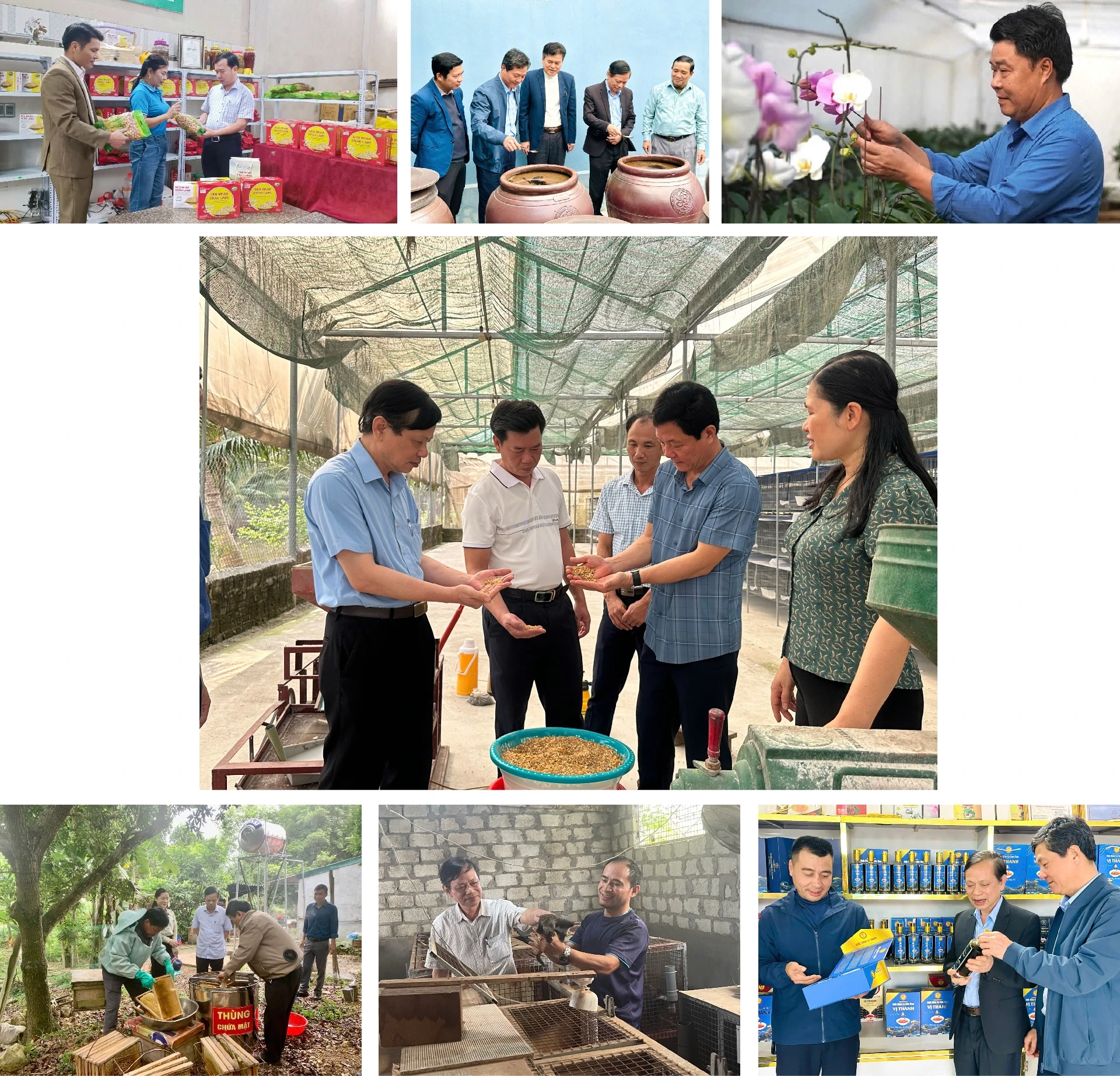 [E - Magazine] Phong trào Nông dân SXKD giỏi - sức lan tỏa bền vững của nông dân Thanh Hóa