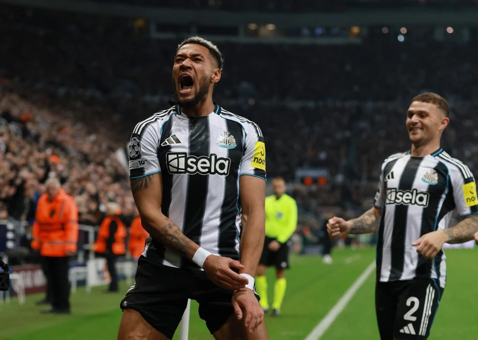 Haaland lập kỷ lục lịch sử tại Champions League; Ninh Bình giữ ngôi đầu sau vòng 10 V.League