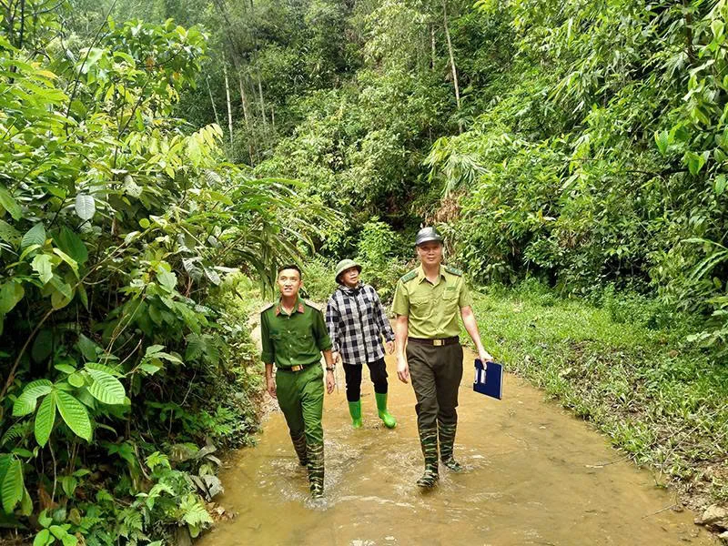 Hạt Kiểm lâm Lang Chánh tuyên truyền nâng cao hiệu quả bảo vệ rừng