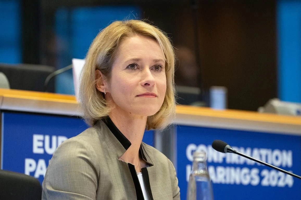 Đại diện EU cảnh báo về Kế hoạch Hòa bình Nga-Ukraine