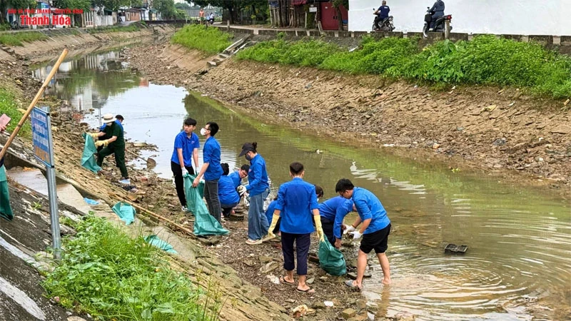 Rác thải nhựa và sự tác động đến môi trường, hệ sinh thái