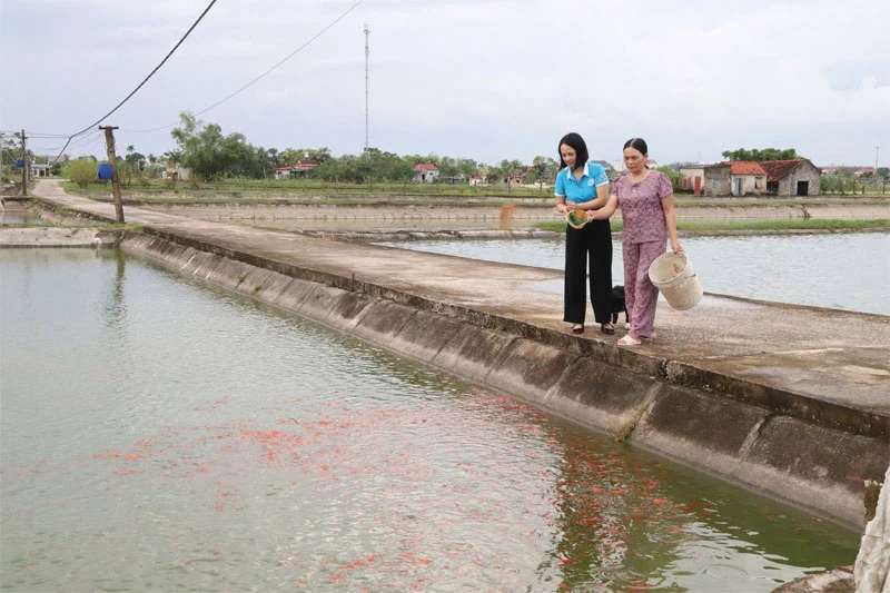 Tiên phong, kiên trì với nghề nuôi cá giống
