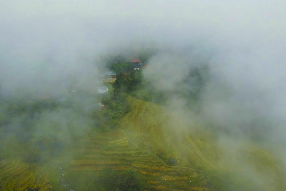 Pù Luông trong sương: “Sa Pa xứ Thanh” mê hoặc lòng người