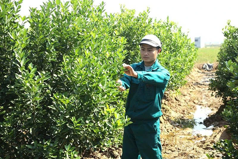 “Gieo mầm” đổi mới trên đất quê hương