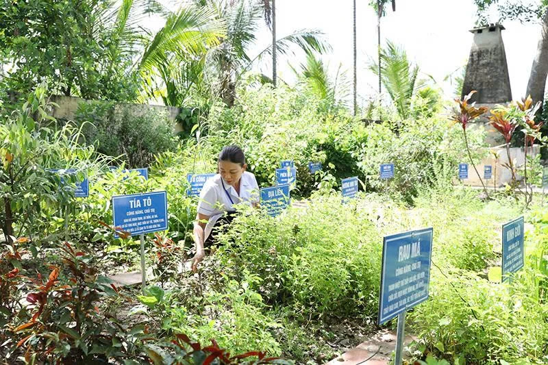 Phát triển y dược cổ truyền trong chăm sóc sức khỏe Nhân dân