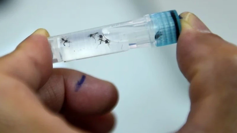 Vaccine đơn liều đầu tiên trên thế giới phòng bệnh sốt xuất huyết