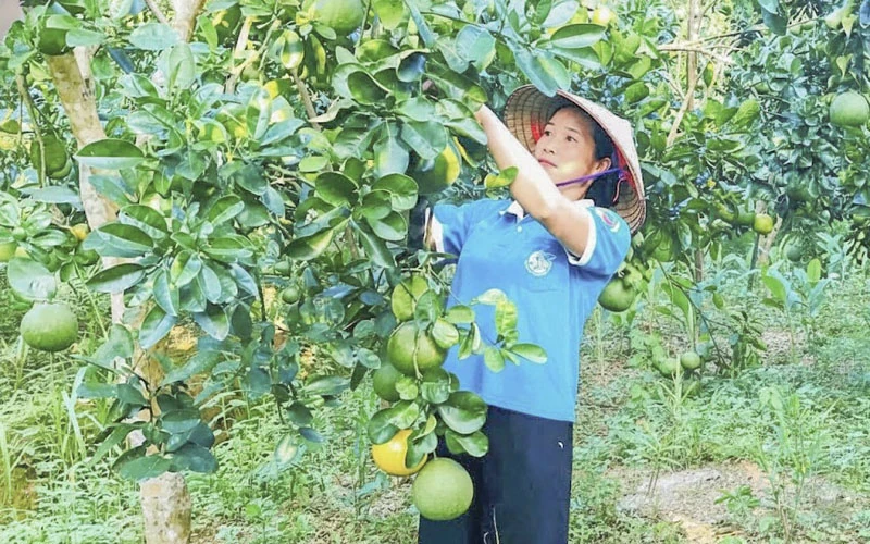 Thạch Quảng tập trung phát triển kinh tế, xây dựng nông thôn mới