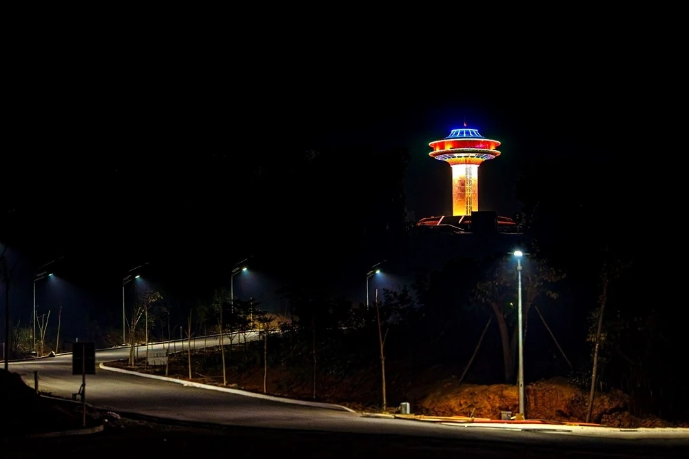 LAMORI by Night: Cuộc đối thoại giữa đại ngàn và vũ trụ