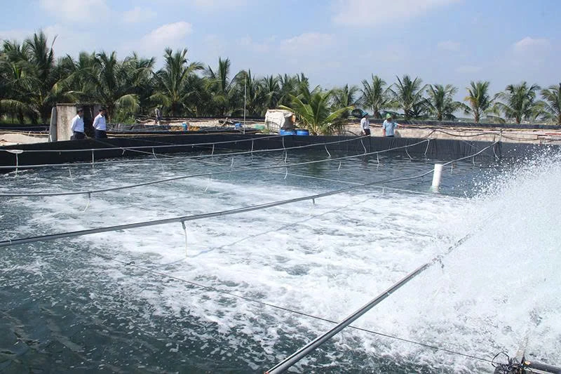Sức hút từ “Vườn đẹp, trang trại hiệu quả”