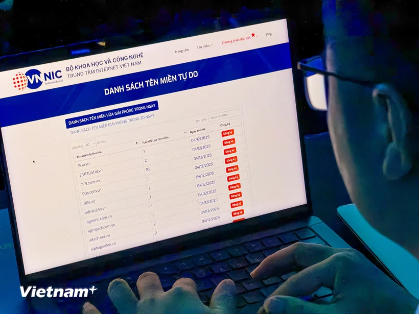 Lần đầu công bố danh sách tên miền .vn hết hạn được giải phóng theo thời gian thực