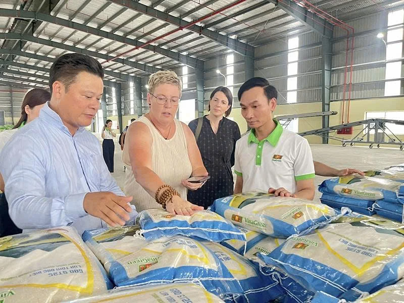 Nâng cao giá trị nông sản từ chế biến sâu