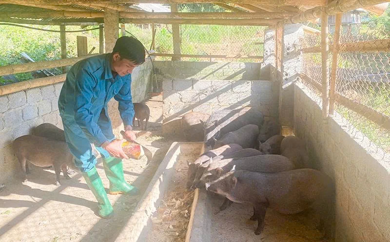 Chàng trai dân tộc Mường vượt khó, truyền cảm hứng khởi nghiệp