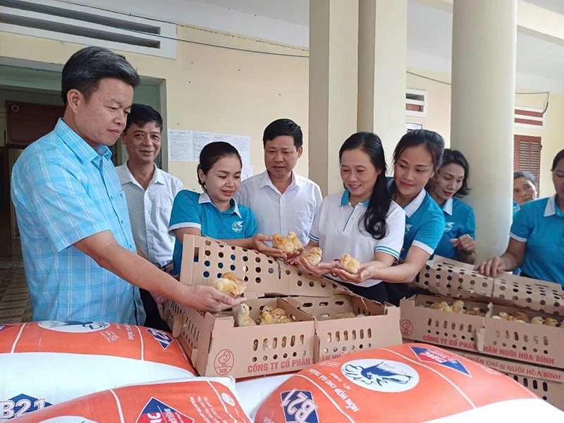 Tạo cơ hội, kích cầu cho các HTX do phụ nữ tham gia quản lý phát triển