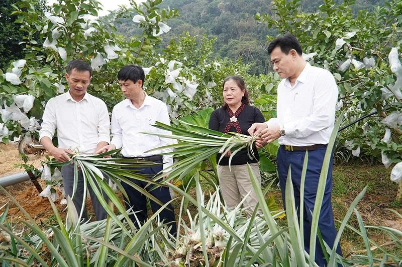 Tạo thế và lực cho nhiệm kỳ mới