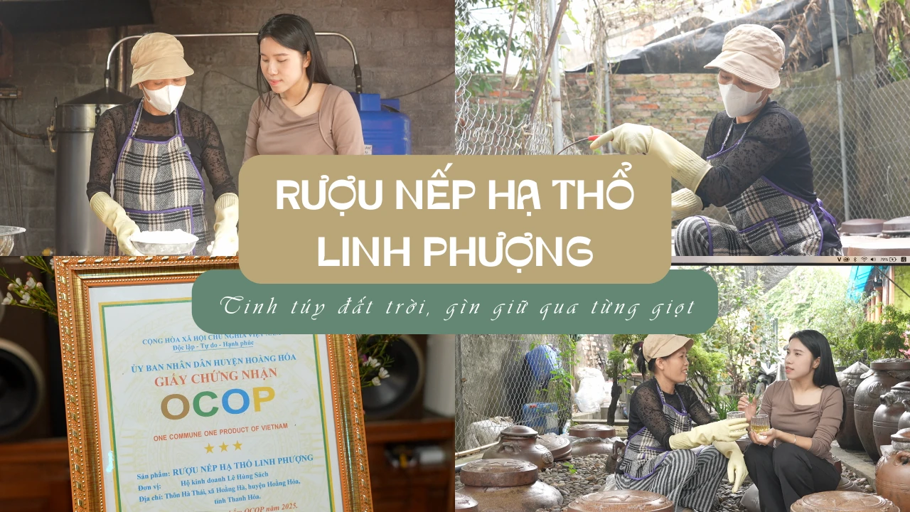 [REVIEW OCOP] - Rượu nếp hạ thổ Linh Phượng - tinh túy đất trời, gìn giữ qua từng giọt