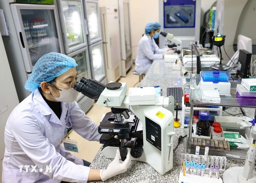 Chiến lược quốc gia về phát triển đội ngũ trí thức đến năm 2030, tầm nhìn 2045