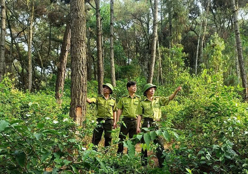 Hạt Kiểm lâm Hà Trung nỗ lực giữ rừng