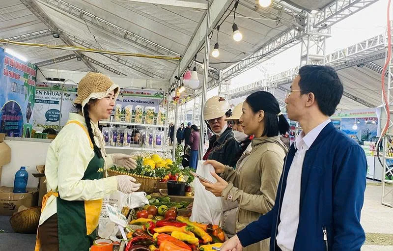 Đưa nông sản xứ Thanh tham gia sâu vào các chuỗi giá trị