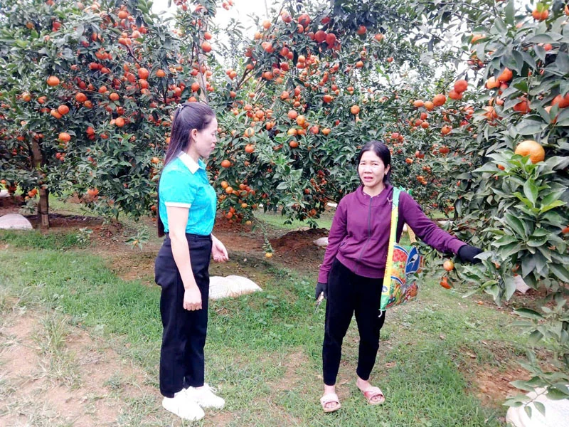 Phụ nữ Điền Lư giúp nhau phát triển kinh tế, giảm nghèo
