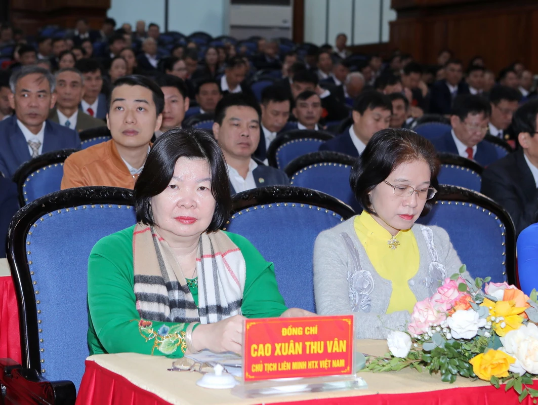 Xây dựng hệ thống Liên minh Hợp tác xã tỉnh Thanh Hóa vững mạnh, là nòng cốt thúc đẩy phát triển kinh tế tập thể