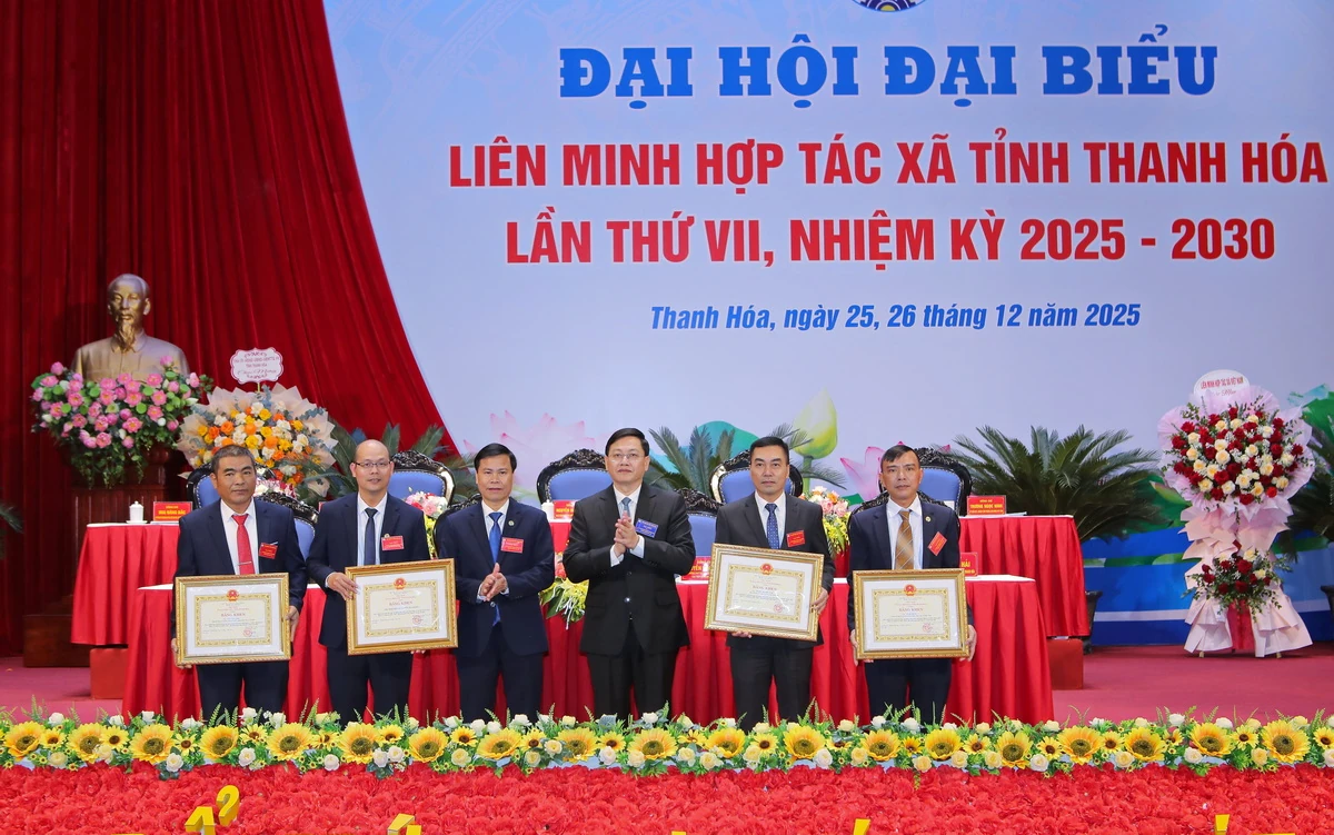 Xây dựng hệ thống Liên minh Hợp tác xã tỉnh Thanh Hóa vững mạnh, là nòng cốt thúc đẩy phát triển kinh tế tập thể