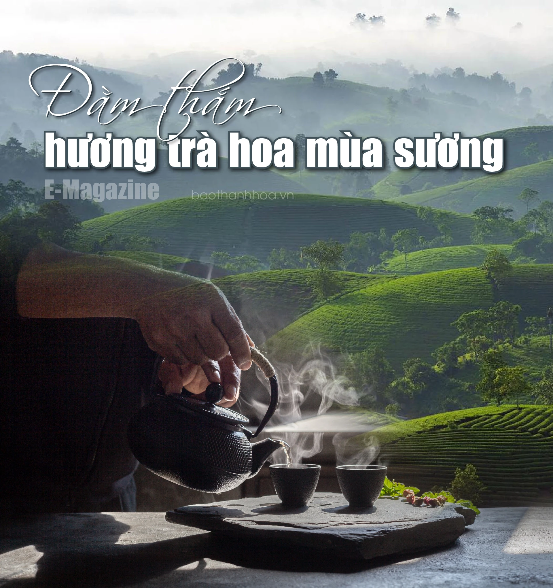 [E-Magazine]: Đằm thắm hương trà hoa mùa sương