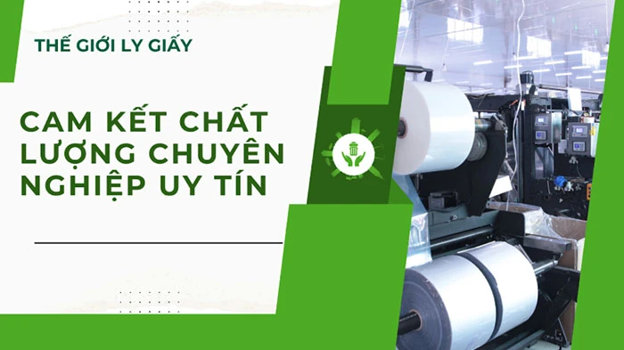 Thế Giới Ly Giấy – Xưởng in tô giấy giá rẻ TPHCM cho doanh nghiệp F&B