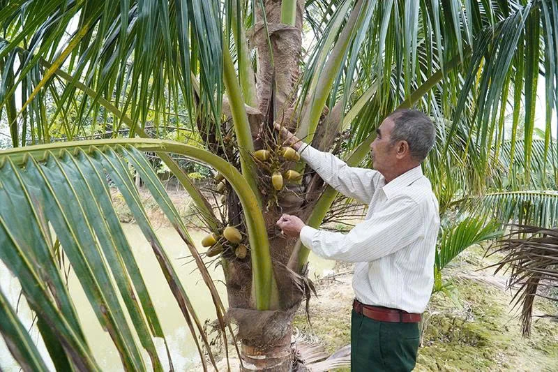 Tiên phong trên mặt trận mới