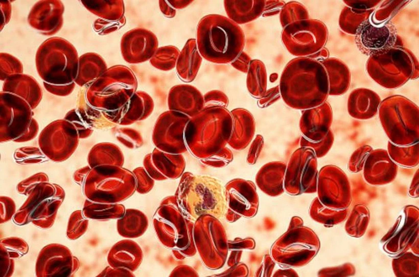 Biến thể gene hiếm chống ung thư máu mở ra hướng điều trị mới