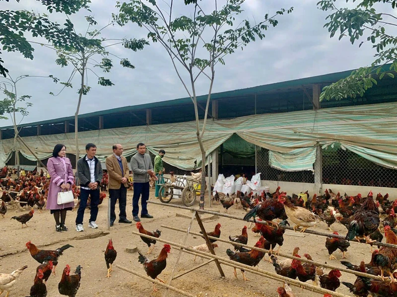 “Bệ đỡ” giúp nông dân vươn lên làm giàu