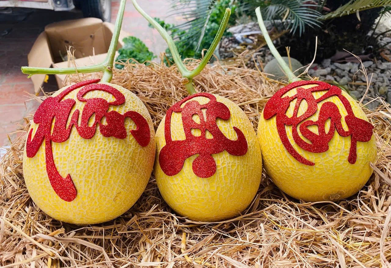 Gần 100 sản phẩm tiêu biểu tỉnh Thanh Hóa tham gia Hội chợ Mùa Xuân 2026