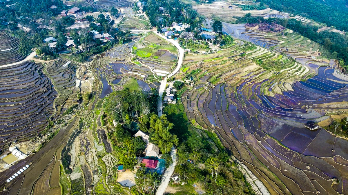 Rau an toàn Pù Luông - sinh kế nhỏ giữa vùng du lịch sinh thái