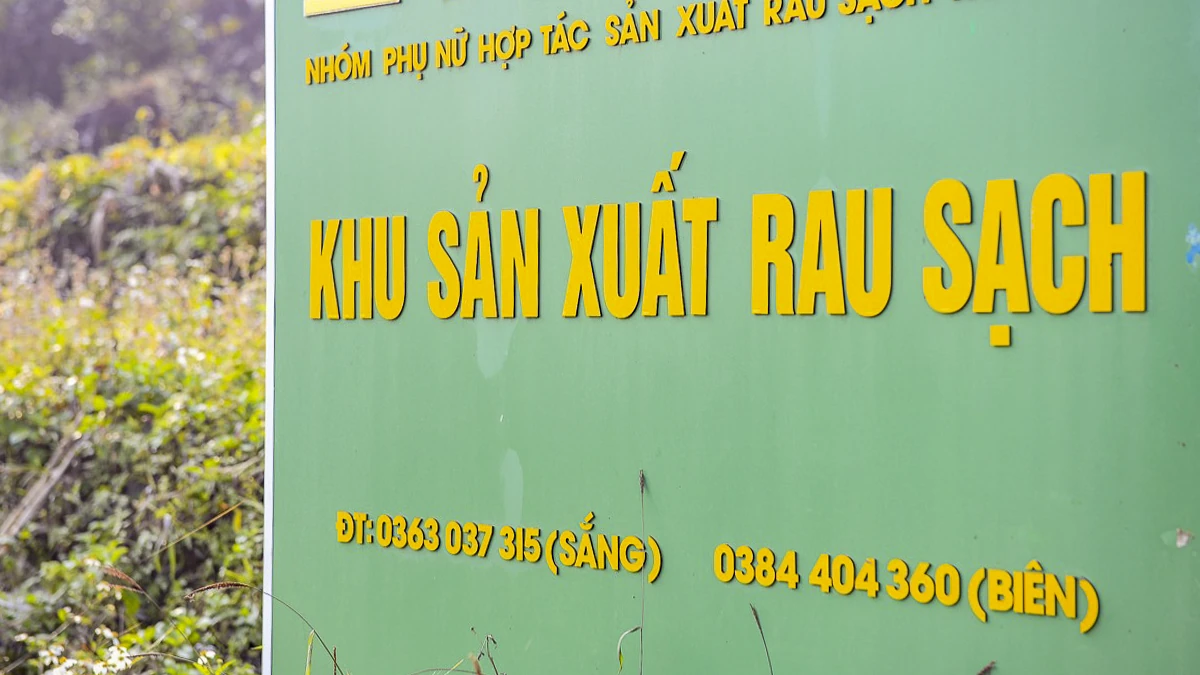 Rau an toàn Pù Luông - sinh kế nhỏ giữa vùng du lịch sinh thái