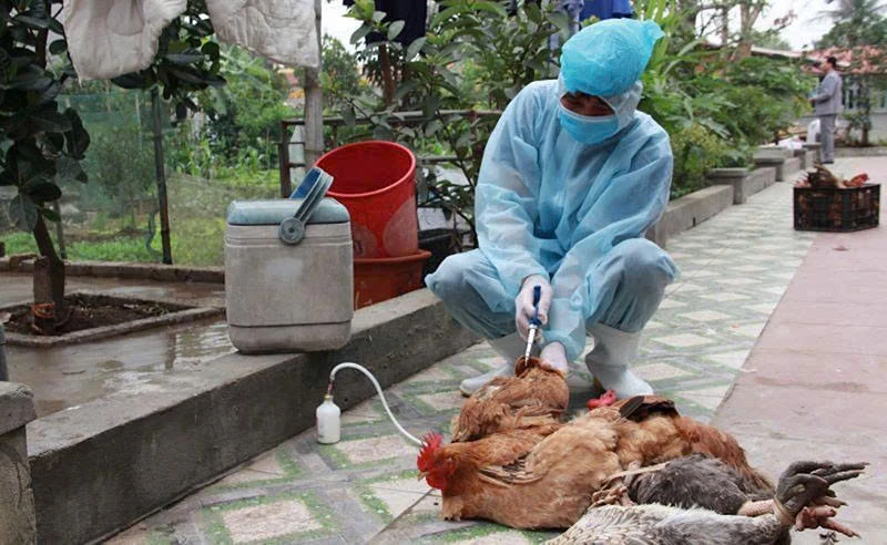 Giải pháp tối ưu phòng, chống dịch bệnh