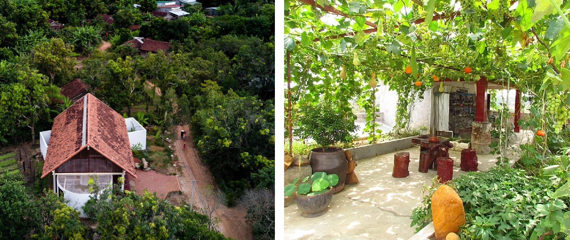 [E-Magazine]: Hoa trong ngõ vắng