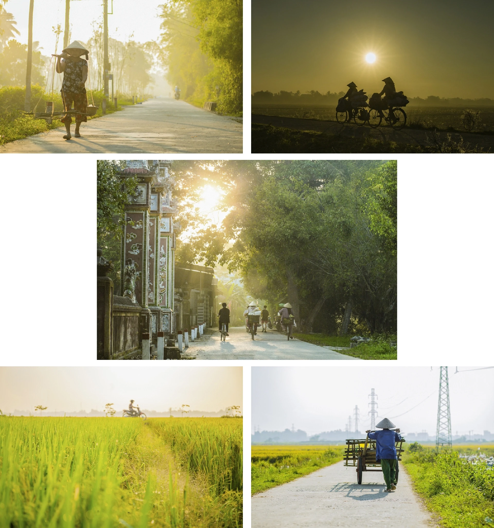 [E-Magazine]: Hoa trong ngõ vắng