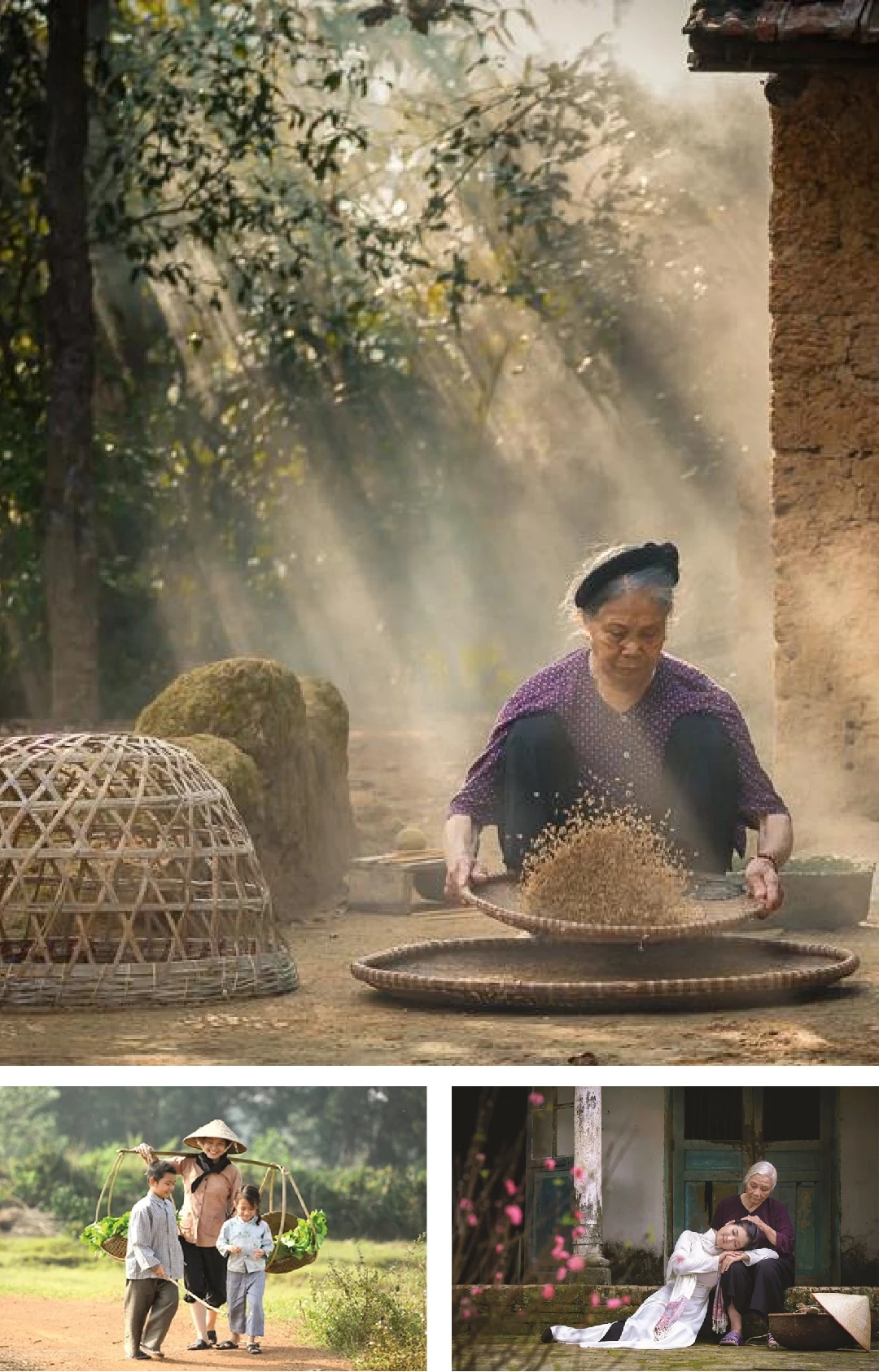 [E-Magazine]: Hoa trong ngõ vắng