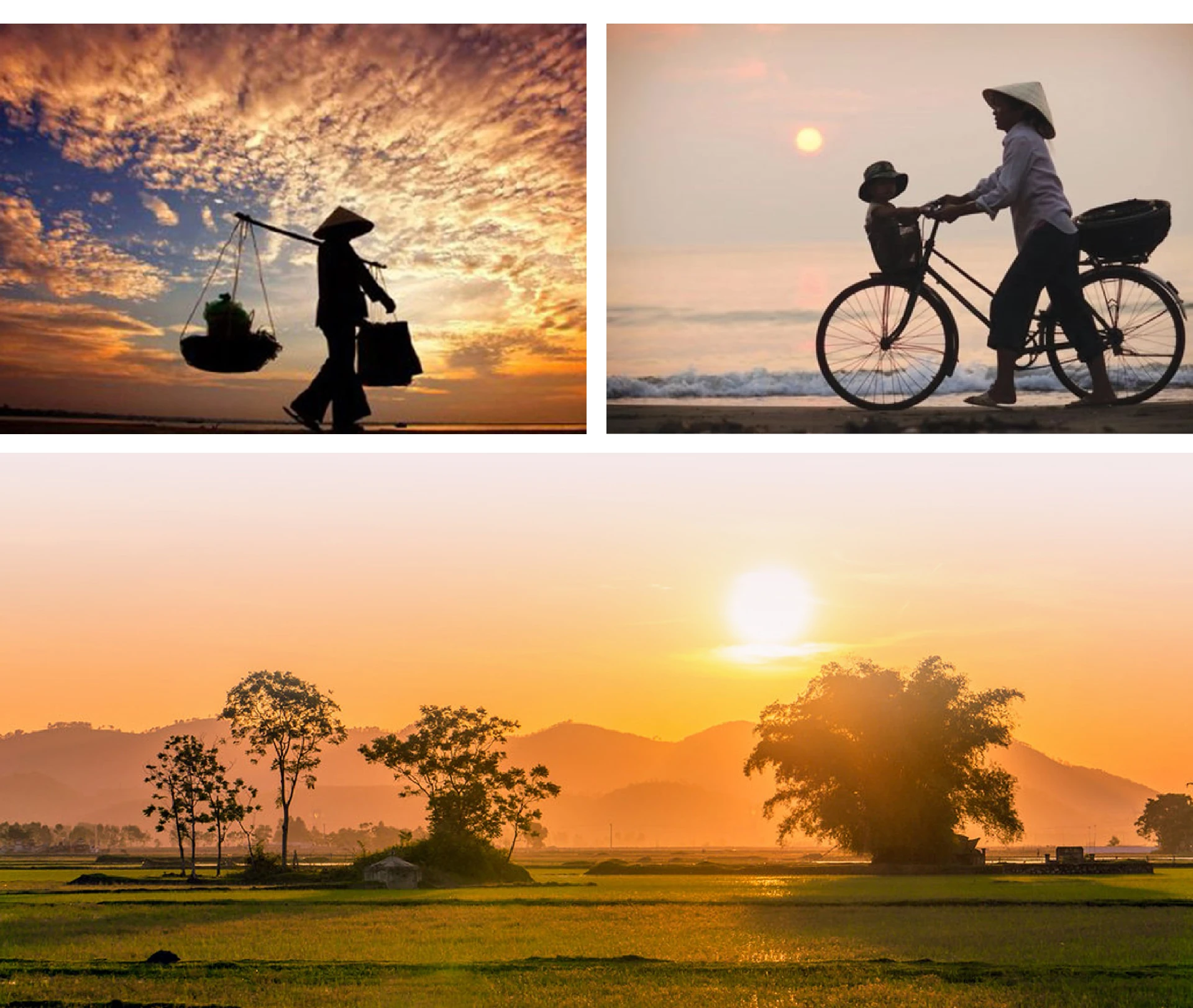 [E-Magazine]: Hoa trong ngõ vắng