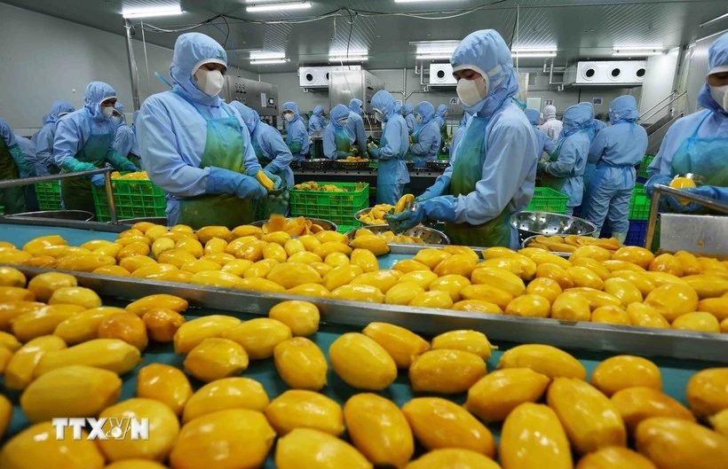 Thủ tướng chỉ đạo đẩy mạnh xuất khẩu, mở rộng thị trường trong năm 2026