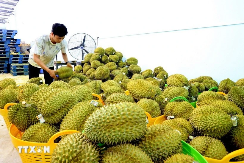 Thủ tướng chỉ đạo đẩy mạnh xuất khẩu, mở rộng thị trường trong năm 2026