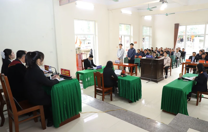 Từ những phiên tòa giả định
