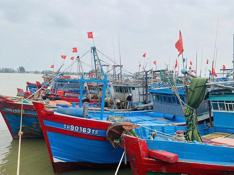 Sử dụng nhật ký điện tử để số hóa nghề cá