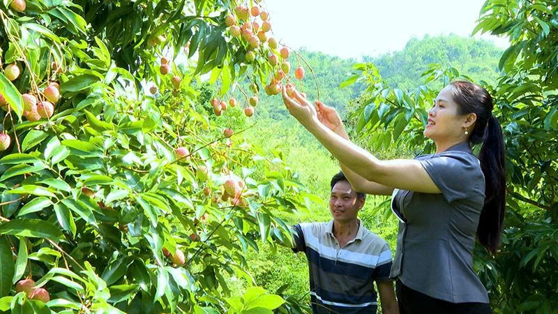 Những mô hình kinh tế mới ở xã vùng biên Quang Chiểu