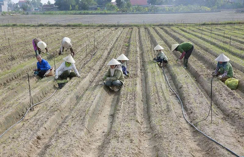 “Đòn bẩy” để nông nghiệp phát triển